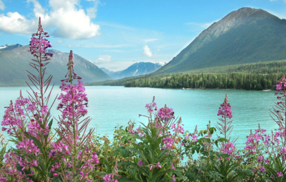 Alaska Dawes Galcier Cruise